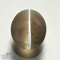 Sillimanite Cat's Eye Gemstone