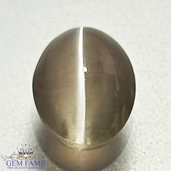 Sillimanite Cat's Eye Gemstone