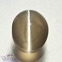 Sillimanite Cat's Eye Gemstone