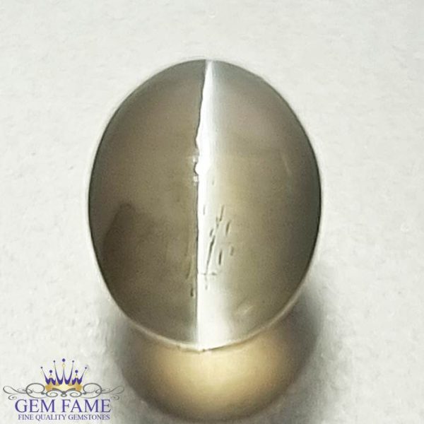 Sillimanite Cat's Eye Gemstone