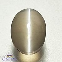 Sillimanite Cat's Eye Gemstone