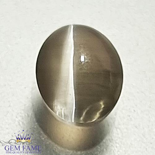 Sillimanite Cat's Eye Gemstone