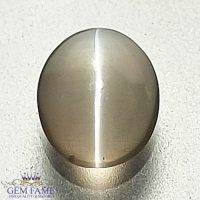 Sillimanite Cat's Eye Gemstone