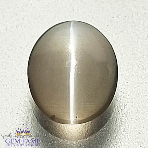 Sillimanite Cat's Eye Gemstone