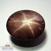 Star Sapphire Gemstone