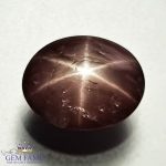 Star Sapphire Gemstone