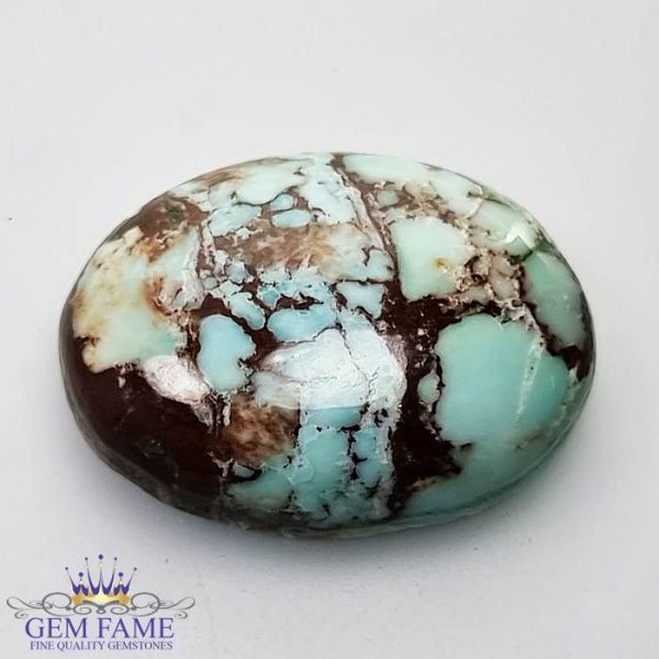 Turquoise (Firoza) Gemstone