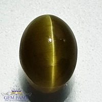 Apatite Cat's Eye Gemstone