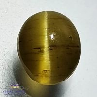 Apatite Cat's Eye Gemstone