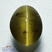 Apatite Cat's Eye Gemstone