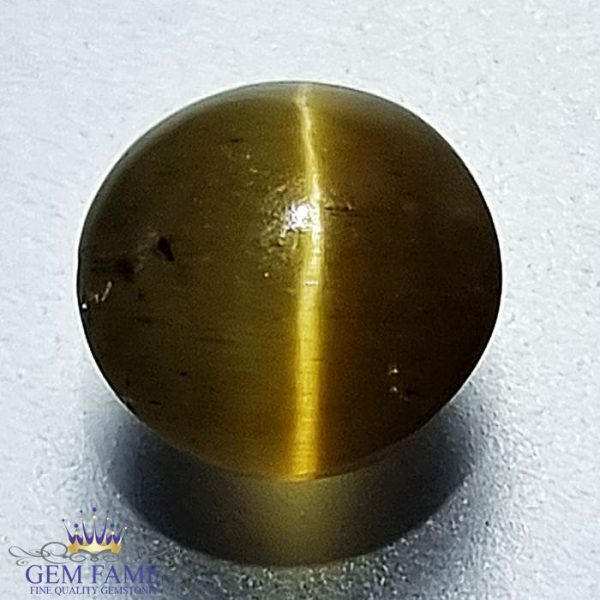 Apatite Cat's Eye Gemstone