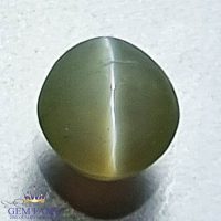 Chrysoberyl Cat's Eye Gemstone