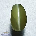 Chrysoberyl Cat's Eye Gemstone