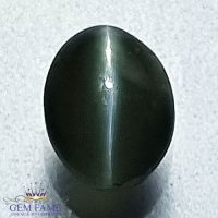 Chrysoberyl Cat's Eye Gemstone