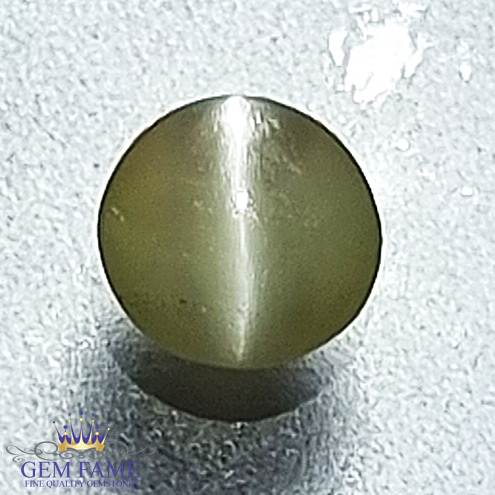 Chrysoberyl Cat's Eye Gemstone