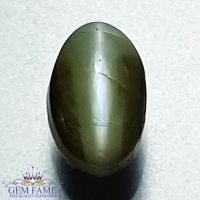 Chrysoberyl Cat's Eye Gemstone