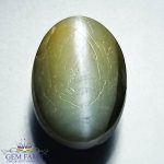 Chrysoberyl Cat's Eye Gemstone