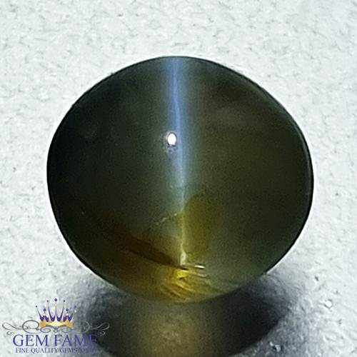 Chrysoberyl Cat's Eye Gemstone 1.34ct