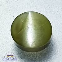 Chrysoberyl Cat's Eye Gemstone 0.60ct