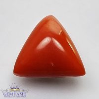 Coral (Moonga) Gemstone