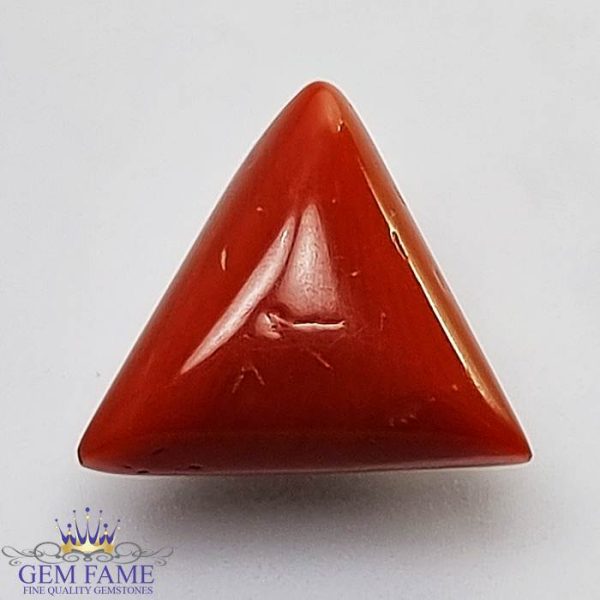 Coral (Moonga) Gemstone