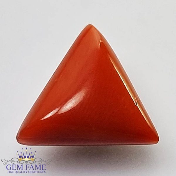 Coral (Moonga) Gemstone