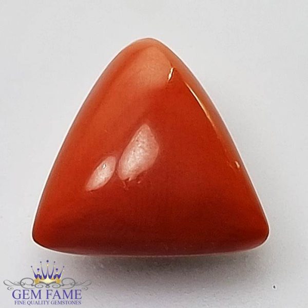 Coral (Moonga) Gemstone