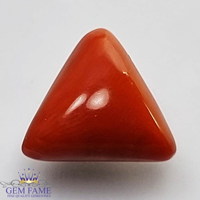 Coral (Moonga) Gemstone