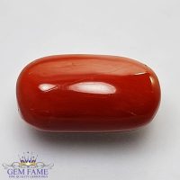 Coral (Moonga) Gemstone