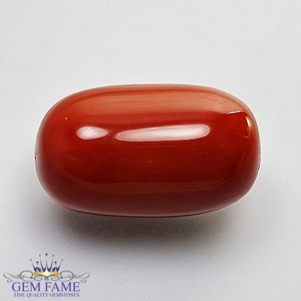 Coral (Moonga) Gemstone