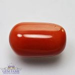 Coral (Moonga) Gemstone