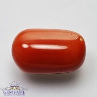 Coral (Moonga) Gemstone