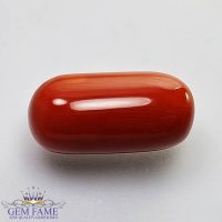 Coral (Moonga) Gemstone