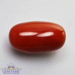 Coral (Moonga) Gemstone