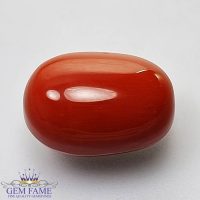 Coral (Moonga) Gemstone