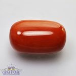 Coral (Moonga) Gemstone