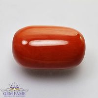 Coral (Moonga) Gemstone