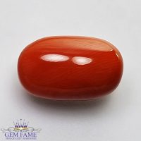 Coral (Moonga) Gemstone