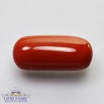 Coral (Moonga) Gemstone