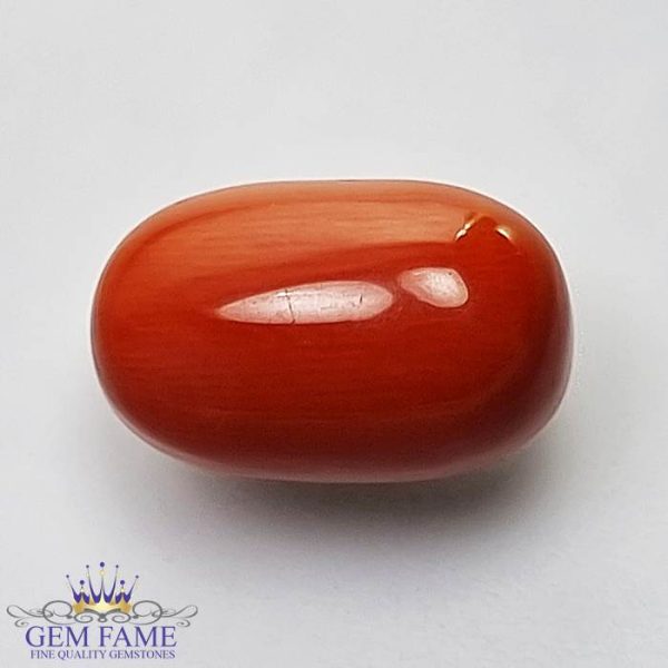 Coral (Moonga) Gemstone