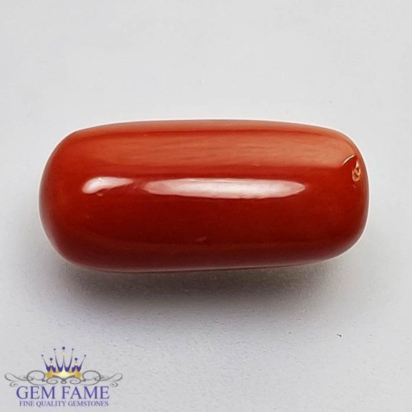 Coral (Moonga) Gemstone