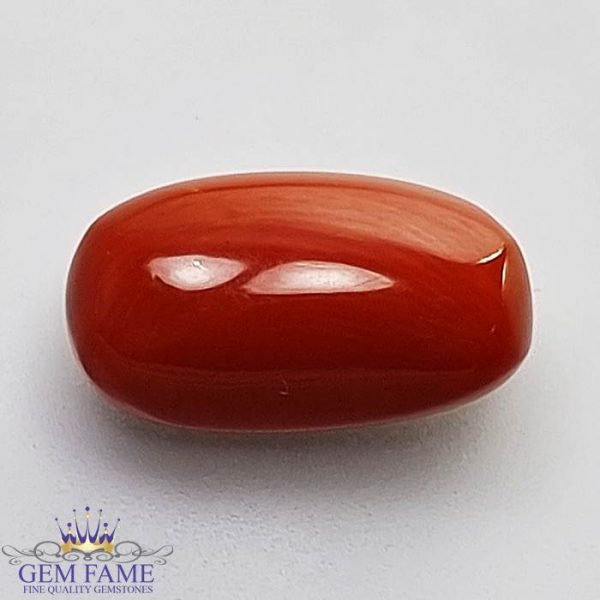 Coral (Moonga) Gemstone