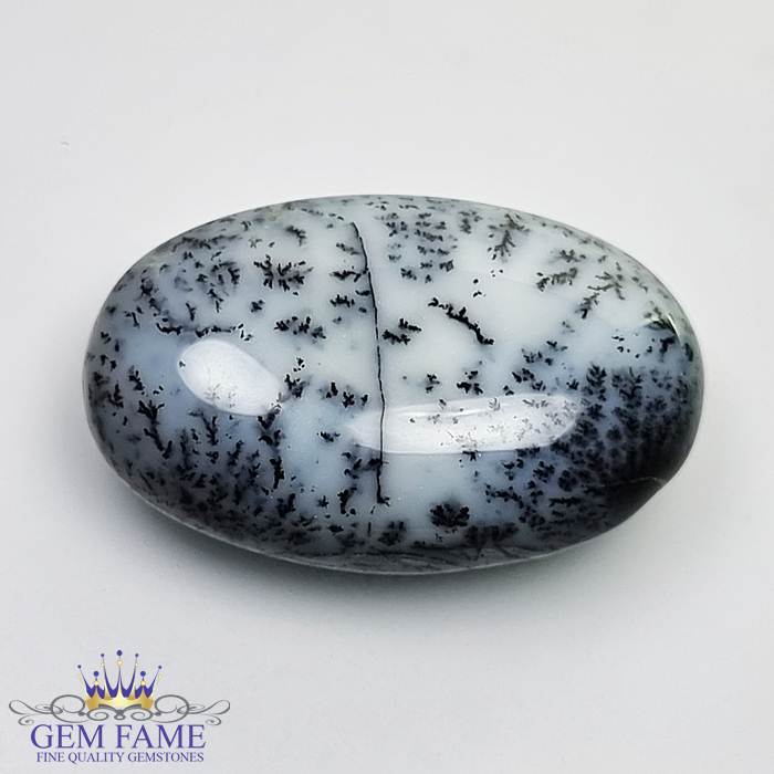 Dendritic Agate Gemstone