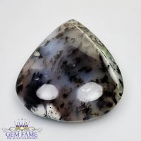 Dendritic Agate Gemstone