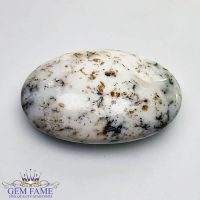 Dendritic Agate Gemstone