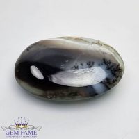 Dendritic Agate Gemstone