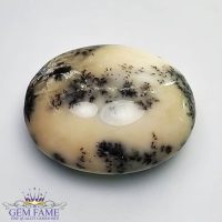 Dendritic Agate Gemstone