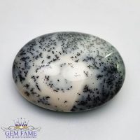 Dendritic Agate Gemstone