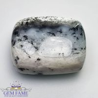 Dendritic Agate Gemstone