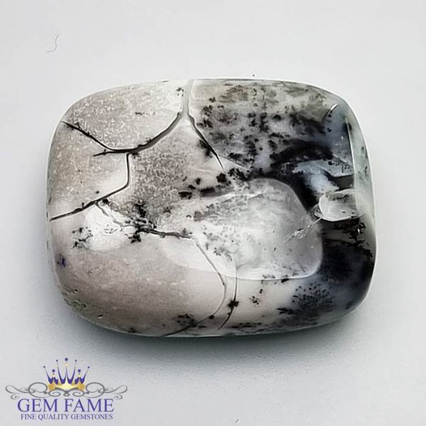 Dendritic Agate Gemstone